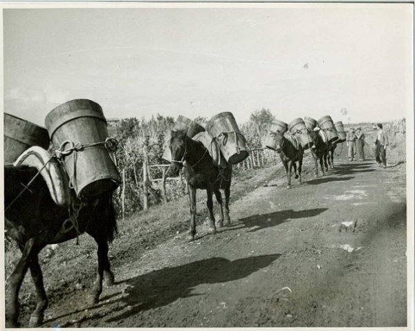 Italia 1943-45 - Foto n. 20