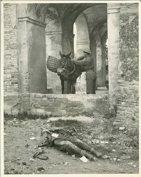 Italia 1943-45 - Foto n. 25